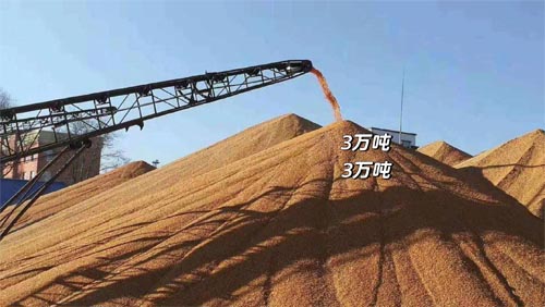 國(guó)常會(huì)重磅！實(shí)施新一輪千億斤糧食產(chǎn)能提升行動(dòng)